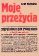 Pamiętniki, dzienniki, listy - Moje przeżycia - miniaturka - grafika 1