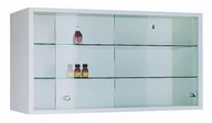 Meble i wyposażenie gabinetów medycznych - Malow Szafka wisząca medyczna SZL 103 DB67-74596 - miniaturka - grafika 1