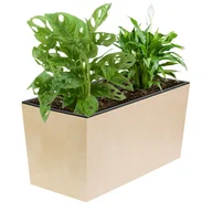 Donice - Skrzynka balkonowa wkład 39x19 cm kremowy - miniaturka - grafika 1