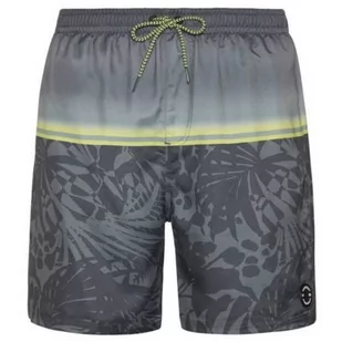 Spodenki męskie Protest PRTELJAS beachshort PROTEST L - Spodenki męskie - miniaturka - grafika 1