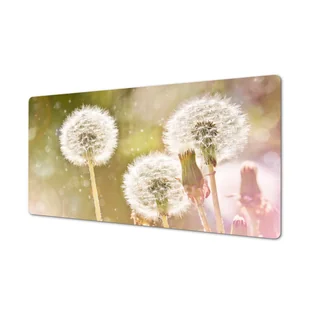 Z foto na wymiar podkładka na blat Dmuchawce lato, ArtprintCave - Podkładki na biurko - miniaturka - grafika 1