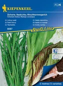 Nasiona i cebule - Kiepenkerl Sałata dębolistna 102044 - miniaturka - grafika 1