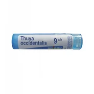 Homeopatia - Boiron Thuya occidentalis, 9 CH, gran., 4 g,(MZ19335) 3080141 - miniaturka - grafika 1