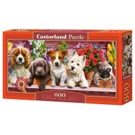 Puzzle - Castorland Puzzle 600 Puppies on a Shelf - miniaturka - grafika 1