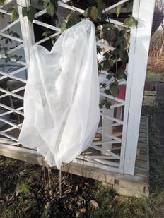 Kaptur Ochronny Dla Roślin - Pozostałe akcesoria do uprawy roślin - miniaturka - grafika 1