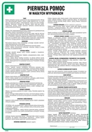 Instrukcje stanowiskowe BHP - DD001 PIERWSZA POMOC W NAGŁYCH WYPADKACH, FN - FOLIA SAMOPRZYLEPNA; (245X350MM) - miniaturka - grafika 1