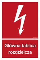 Systemy ekspozycyjne i znaki informacyjne - BC010 GŁÓWNA TABLICA ROZDZIELCZA, TS - PŁYTA TD FOTOLUMINESCENCYJNA; (100X148MM) - miniaturka - grafika 1
