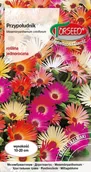 Nasiona i cebule - Nasiona Przypołudnik mieszanka 1g - Torseed - miniaturka - grafika 1