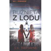 Bliźnięta z lodu - Powieści sensacyjne - miniaturka - grafika 1