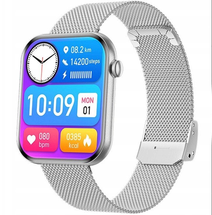 Rubicon RNCF49 silver/silver mesh