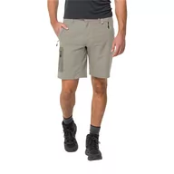 Spodnie sportowe męskie - Krótkie spodenki męskie Jack Wolfskin ACTIVE TRACK SHORTS MEN misty green - 46 - miniaturka - grafika 1