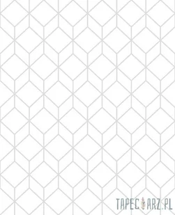 Superfresco Easy Biała tapeta z geometrycznym srebrnym linearnym wzorem 104121_opcje - Tapety - miniaturka - grafika 1