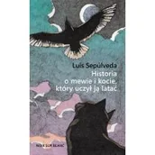 Książki edukacyjne - Historia o mewie i kocie, który uczył ją latać - miniaturka - grafika 1