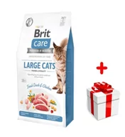 Sucha karma dla kotów - BRIT Care Grain-Free Large Cats Power & Vitality  2kg + niespodzianka dla kota GRATIS! - miniaturka - grafika 1