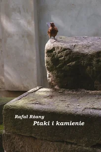 Ptaki i kamienie - Książki o kulturze i sztuce - miniaturka - grafika 1