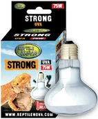 Akcesoria do terrarium - REPTILE NOVA Żarówka Grzewcza Uva - Reptile Nova Strong 75W - miniaturka - grafika 1