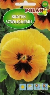 Bratek Szwajcarski pomarańczowy z plamą 0.4 g POLAN - Nasiona i cebule - miniaturka - grafika 1