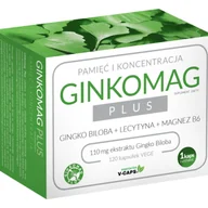Układ nerwowy - XENICO GINKOMAG PLUS  120 kapsułek 3347261 - miniaturka - grafika 1