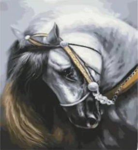 OBRAZ DO MALOWANIA PO NUMERACH ZESTAW Z RAMĄ 40X50 NR 1113 - Malowanie po numerach - miniaturka - grafika 1