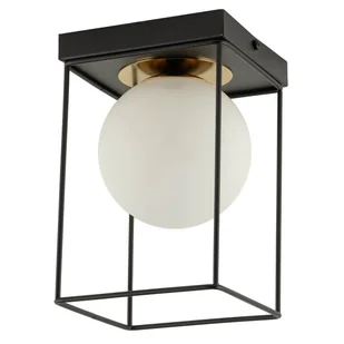 Loftowy plafon Aroma 40710 Sigma bańka cage klatka metalowa czarna złota - Lampy sufitowe - miniaturka - grafika 1