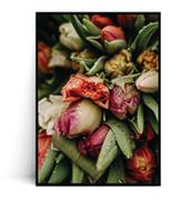 Plakaty - Fox Art Studio, Plakat Tulipany,  wymiary 40x50 cm - miniaturka - grafika 1