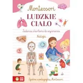Książki edukacyjne - Montessori. Ludzkie ciało - miniaturka - grafika 1