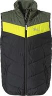 Kurtki i płaszcze dla chłopców - Jack Wolfskin Kamizelka dziecięca Unisex Three Hills Phantom, 92 - miniaturka - grafika 1