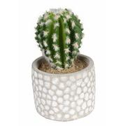 Sztuczne kwiaty - SPLENDID Kaktus sztuczny 13,5cm w doniczce - miniaturka - grafika 1