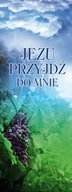 Ikony i obrazy sakralne - Baner na I Komunię Świętą "Jezu przyjdź do mnie" 75x200 cm - miniaturka - grafika 1