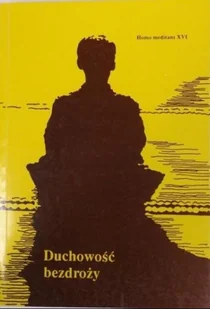 Duchowość bezdroży Homo Meditans XVI - Religia i religioznawstwo - miniaturka - grafika 1