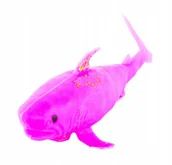 Zabawki sensoryczne - Rekin Gniotek Ściskacz Zabawka Antystresowa - miniaturka - grafika 1