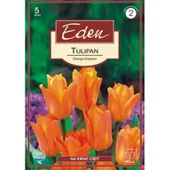 Nasiona i cebule - Tulipan Fostera Orange Emperor 5 sztuk Eden - miniaturka - grafika 1