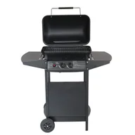 Grille gazowe - ACTIVA GRILL GAZOWY 5,4KW (11999) - miniaturka - grafika 1