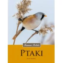 Multico Ptaki. Fauna Polski - Dorota Zawadzka - Encyklopedie i leksykony - miniaturka - grafika 1