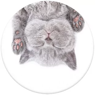 PopSockets Uchwyt i podstawka, PopGrip 2gen, Cat Nap 842978139135 - Pozostałe akcesoria do telefonów - miniaturka - grafika 1