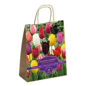 Nasiona i cebule - Zestaw Prestige Tulipany polskie triumph mix 25 szt. 10/11 cebule cebulki - miniaturka - grafika 1
