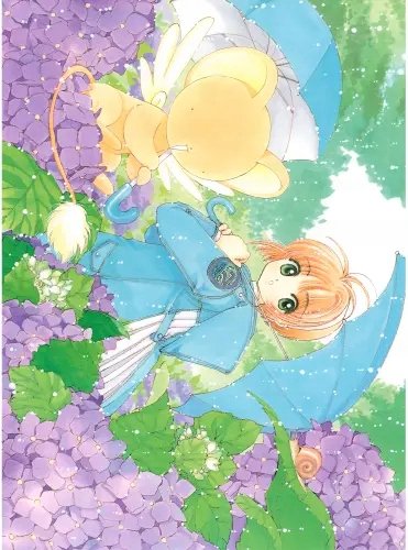 Plakat Anime Cardcaptor Sakura ccs_774 A2 (custom)