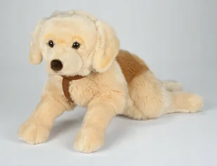 Maskotka Pies Labrador leżący ze smyczą - 62cm - Maskotki i pluszaki - miniaturka - grafika 1