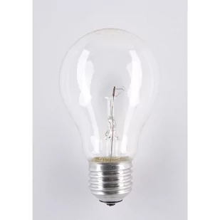Żarówka 40W A55 clear 42V - Pozostałe oświetlenie - miniaturka - grafika 1
