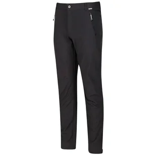 Spodnie męskie Regatta Geo Softshell ll Trousers (Reg Rozmiar: XL-XXL / Kolor: szary - Spodnie sportowe męskie - miniaturka - grafika 1