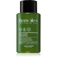 Szampony do włosów - Alfaparf Milano Benvoleo, szampon regenerujący, 275ml - miniaturka - grafika 1