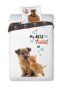 Faro Pościel Młodzieżowa 160x200 kotek i piesek Best Friends bf019 - Pościel dla dzieci - miniaturka - grafika 1