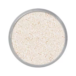 KRYOLAN Translucent Powder Professional Puder transparentny TL11 60g 1234570084 - Pudry do twarzy - miniaturka - grafika 1