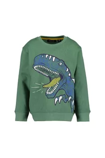 Bluzy dla chłopców - Zielona dresowa bluza z Dinozaurem - grafika 1