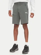 Odzież trekkingowa męska - Jack Wolfskin Szorty sportowe Pico Trail A63908 Zielony Regular Fit - miniaturka - grafika 1