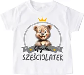 Koszulki dla chłopców - koszulka urodzinowa dla chłopca (6 latek) - miniaturka - grafika 1