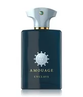 Wody i perfumy męskie - Amouage Odyssey Enclave Woda perfumowana 100 ml - miniaturka - grafika 1