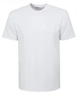 Koszulki męskie - T-SHIRT Męski Klasyczna Koszulka Basic Bawełniana TOP BIAŁY 2XL Pako Jeans - miniaturka - grafika 1