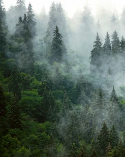 PUZZLE LAS MGŁA ZIELEŃ + IMIĘ Pudełko 120 el. - Puzzle - miniaturka - grafika 1