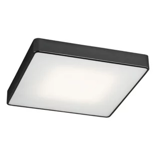 Argon Plafon 25X25cm 11W LED ONTARIO 3575  3575 - Lampy pozostałe - miniaturka - grafika 1